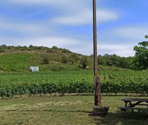 DOMAINE DES COTEAUX BLANCS