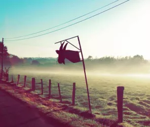 ©La Ferme Painchaud