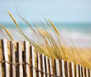 ©Alexandre LAMOUREUX