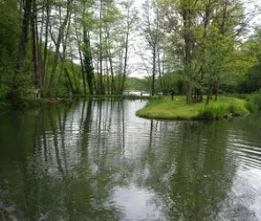 ©Pêche à la truite - Noyant La Gravoyère