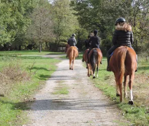 © Poney Club du Gué de Selle