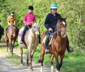 Domaine des pierres jumelles- D-photo53