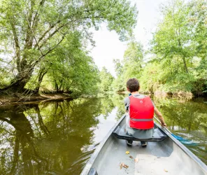 Frédéric Coquemont 