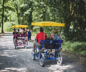 © OT4PS - Destination Coco