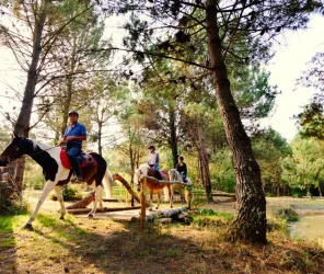 Sarthe Tourisme / Pascal Beltrami