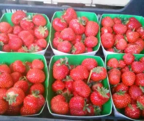 FERME DE LA VINAUDAIS