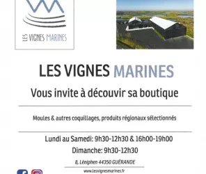 les vignes marines