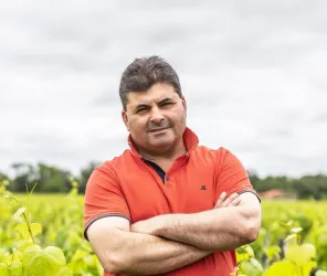 domaine raphael luneau