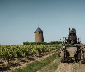 Domaine Ménard-Gaborit 
