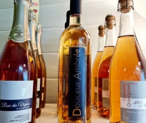 ©Domaine-Grandjouan