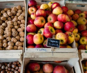 Orlane Boisard-Office de Tourisme de Grand Lieu