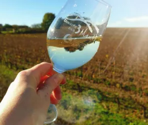 Domaine des Trois Monts