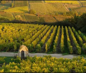 © Domaine des Barres