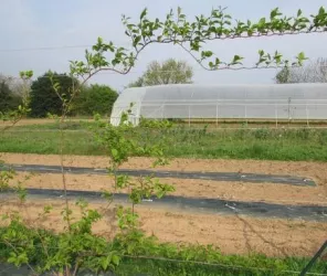 ©Bio-diverses-cités