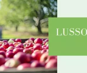 © Lusson-Fruits