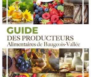 ccbv-valdecom-adobe stock