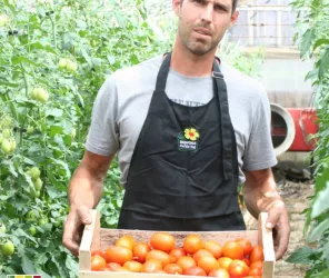 les serres renazeennes