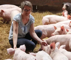 ©Vallée de la Sarthe