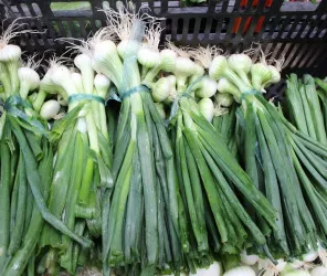 ©Pays Vallée de la Sarthe