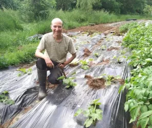 ©Les Jardins de Loviv