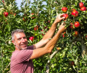 ©SIMON BOURCIER.com