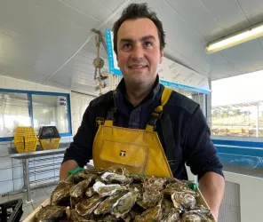 Tous droits réservés