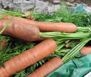 Office de Tourisme Vie et Boulogne