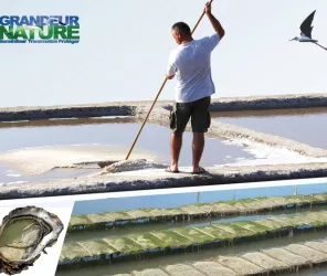 Centre Socio Culturel du Talmondais