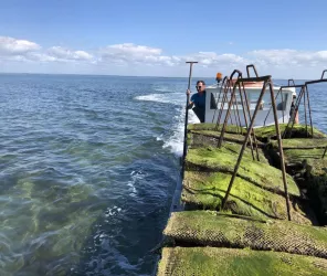 OT Pays de Saint Jean de Monts