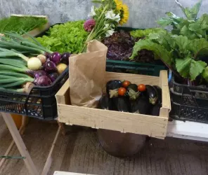 OT Pays de Saint Jean de Monts