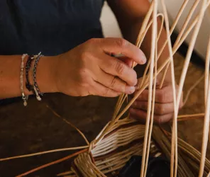 Stephane Faraut Photographies