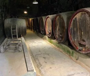 Mathilde Desmouceaux