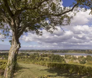 watier-visuel,Christian Watier