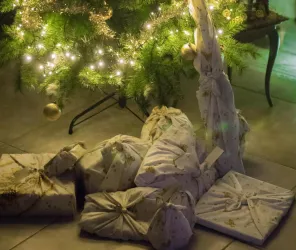 ©AuroreLEBECQ_Pixabay