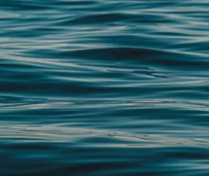 Benny Rotlevy - unsplash