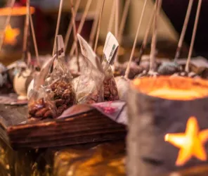 Madhi Fleckner - Pixabay