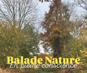 ©L'instant d'un thé