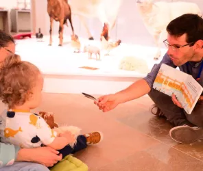 @ Ville du Mans - Gilles Moussé