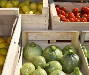 © Communauté de communes