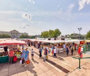 Alexandre Lamoureux - Destination Angers