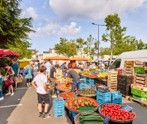 Alexandre Lamoureux - Destination Angers