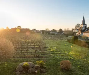 CHRISTINA THIBLET BALDWIN (CHRISTINA THIBLET BALDWIN (Photographer) - [None]