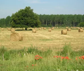 ©OT-Alpes-Mancelles