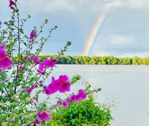 Aude Genevaise - SPL SVLT