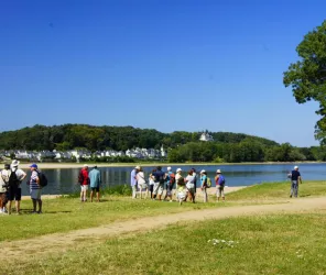 Simon El Helou - SPL SVLT