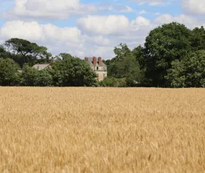 ©Mairie_Treillières