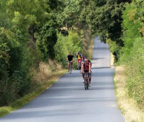 D.Benureau. groupe ccv.