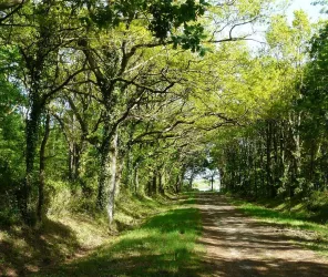 ©mairie-saint-mars-de-coutais