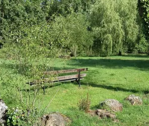 Anne Collet Bailleul