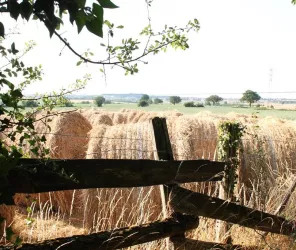 © L. Hay et ôsezMauges